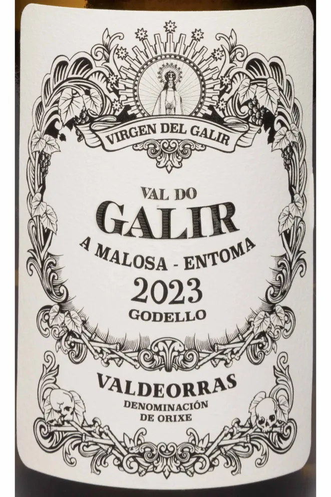 Этикетка Pagos del Galir Godello Valdeorras 2023 0.75 л