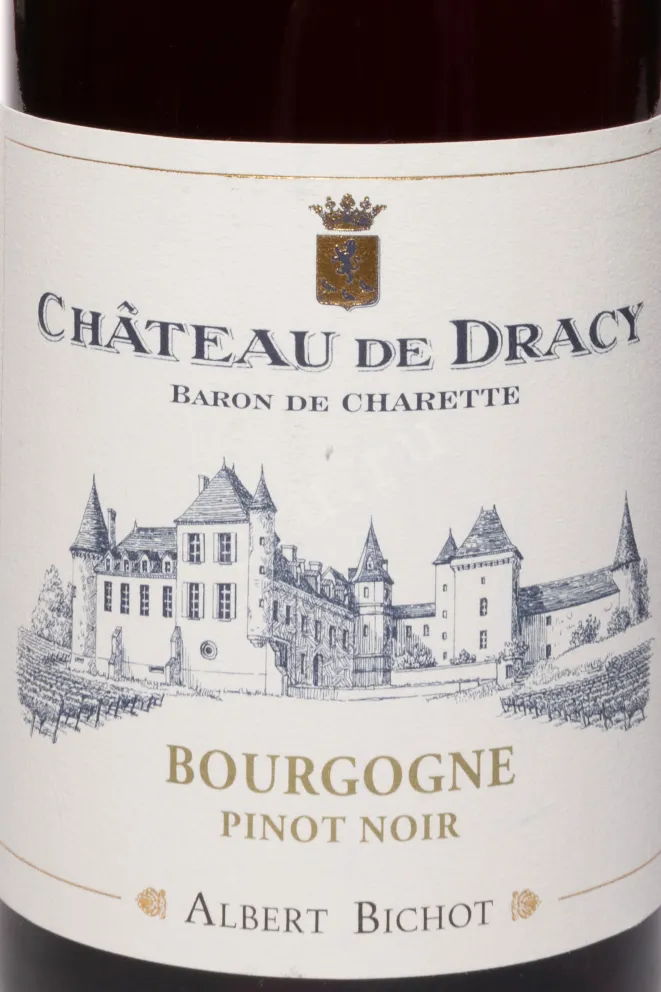 Этикетка Albert Bichot Chateau de Dracy Pinot Noir Bourgogne 2023 0.75 л