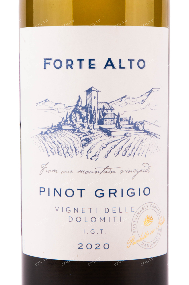 Этикетка вина Mezzacorona Forte Alto Pinot Grigio 0.75 л