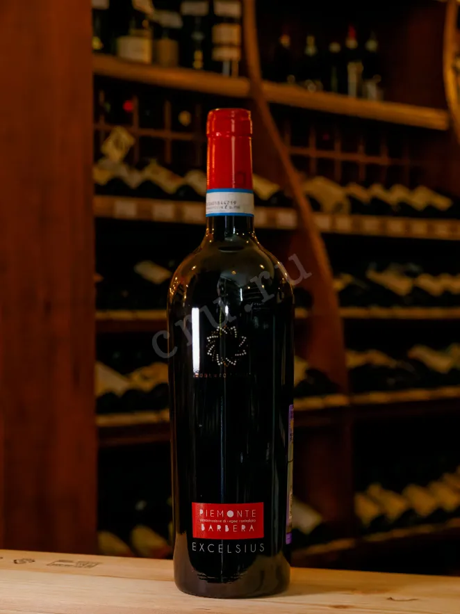 В магазине Крю Профи Roberto Sarotto Excelsius Piemonte Barbera DOC 2022 0.75 л