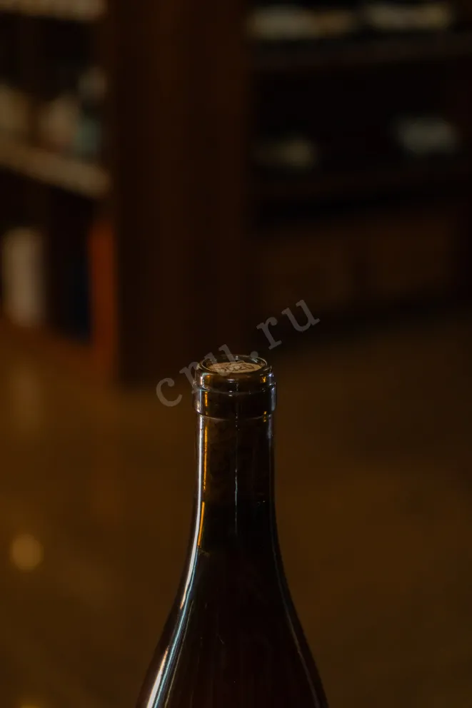 Вино Baptiste Cousin Pied 2020 0.75 л