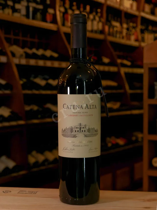 Вино Catena Alta Cabernet Sauvignon 2019 0.75 л