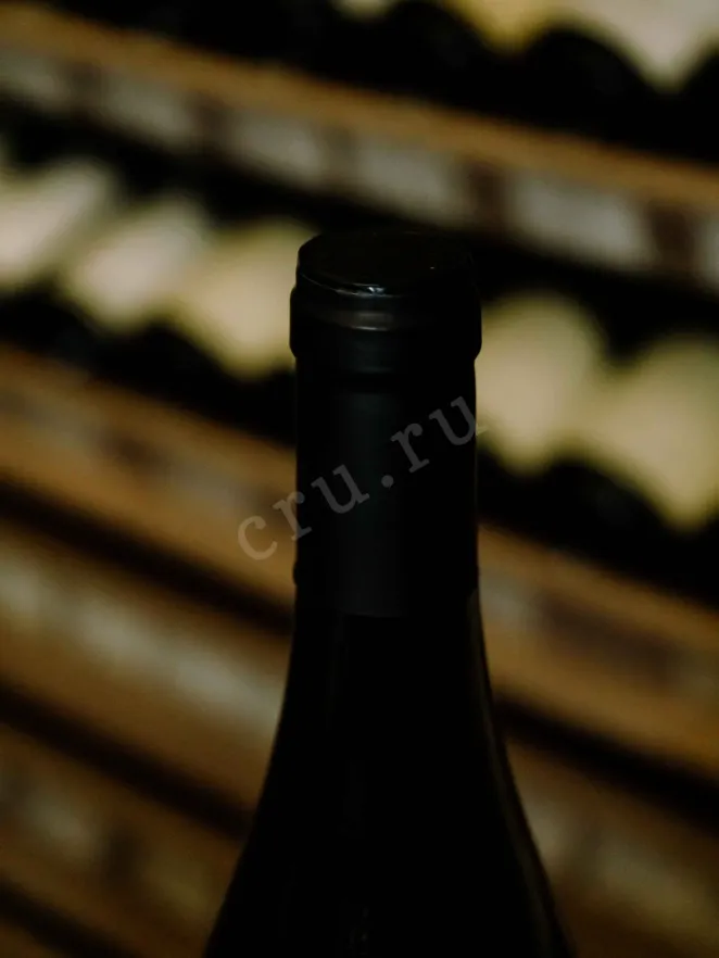 Пробка Pascale Rion Delhautal Nuits-Saint-Georges 1-er Cru Les Vaucrains 2016 0.75 л