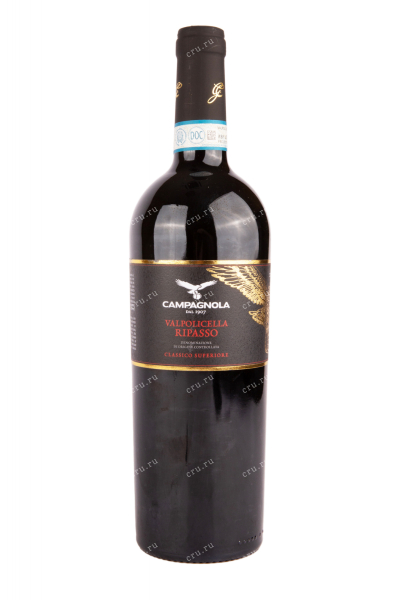 Вино Campagnola Ripasso Valpolicella Classico Superiore 2019 0.75 л
