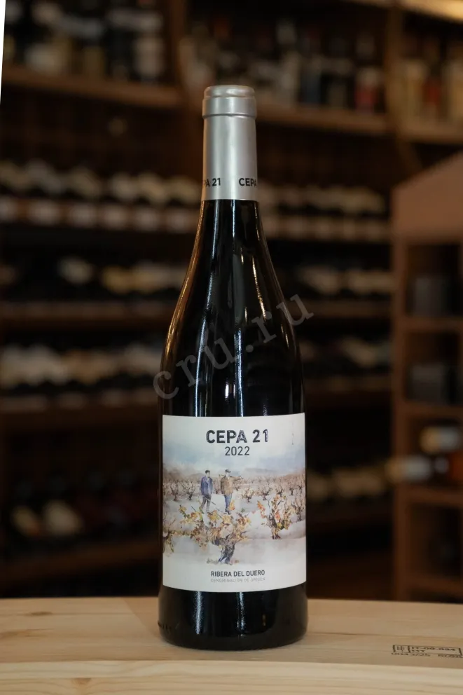 В магазине Крю Профи Cepa 21 Ribera Del Duero 2022 0.75 л