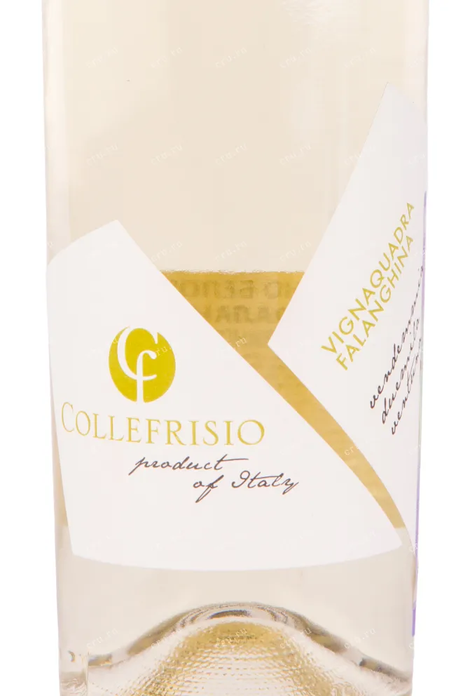 Этикетка вина Collefrisio Falanghina Vignaquadra 0.75 л