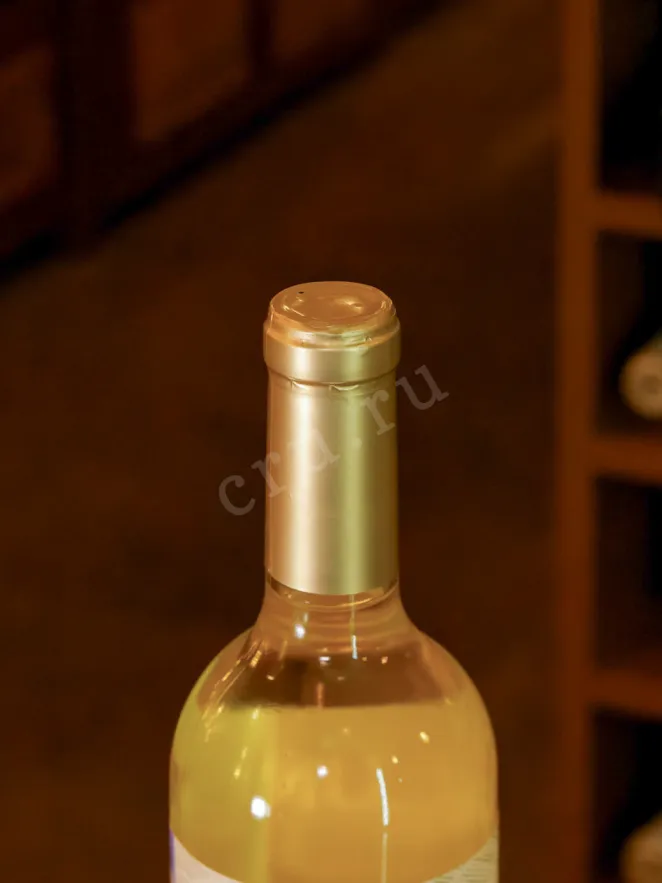 В магазине Крю Профи Mendel Lunta Torrontes 2021 0.75 л