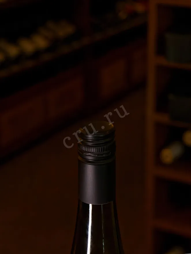 Пробка Bruckentag Riesling 2024 0.75 л