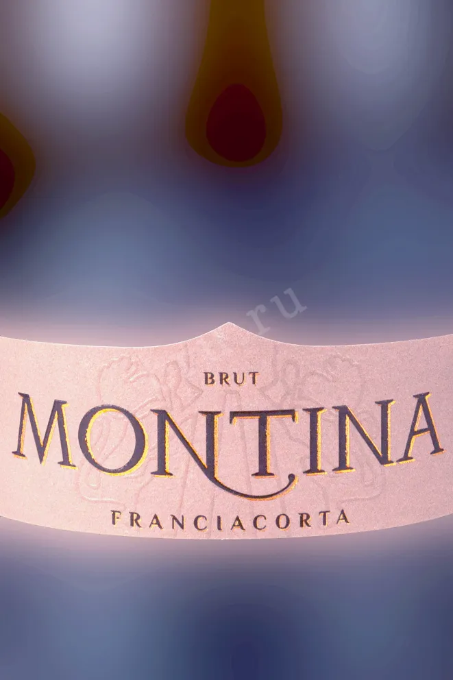Этикетка Montina Franciacorta Brut in gift box 2023 1.5 л