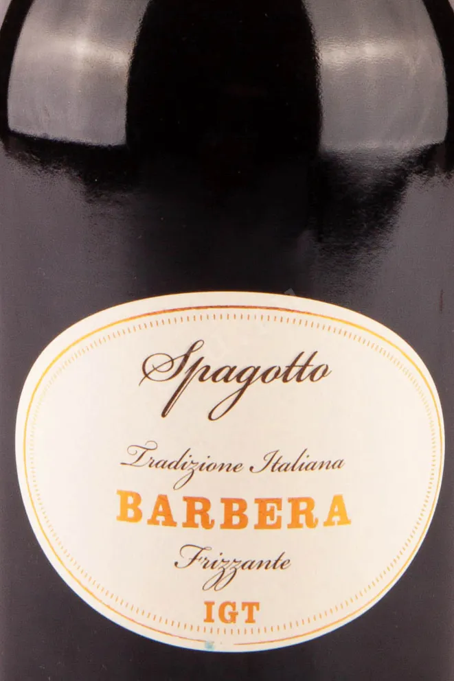 Этикетка Spagotto Barbera IGT 2020 0.75 л