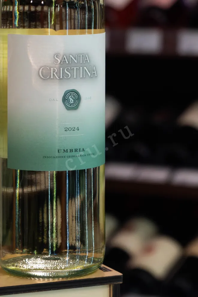 В магазине Крю Профи Santa Cristina Bianco Umbria 2024 0.75 л