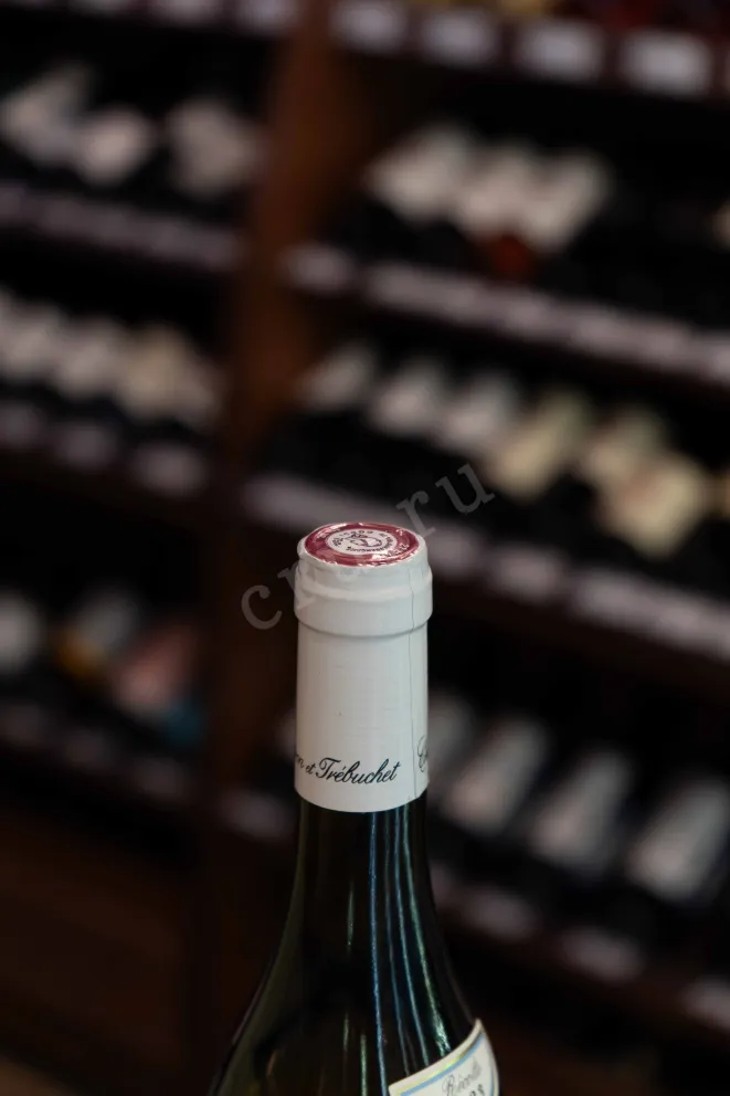 Пробка Chartron et Trebuchet Sauvignon Blanc Saint-Bris AOC 2023 0.75 л