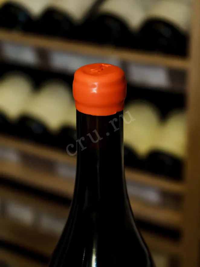 Пробка Domaine Didier Amiot Aux Combottes Gevrey-Chambertin Premier Cru AOC 2021 0.75 л