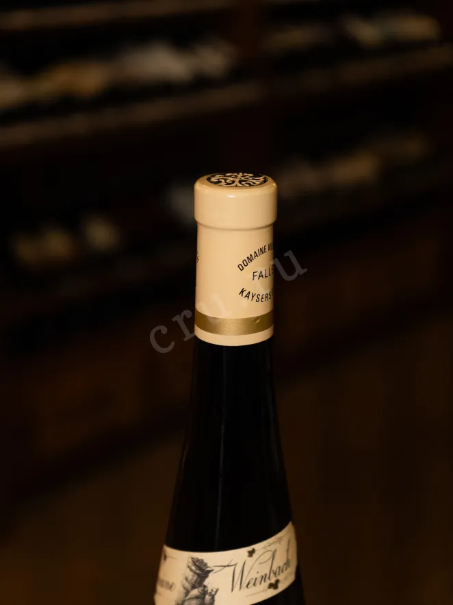Пробка Domaine Weinbach Pinot Gris Clos des Capucins 2020 0.7 л