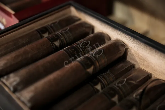 В магазине Крю Профи Quesada 40th Anniversary Toro Real