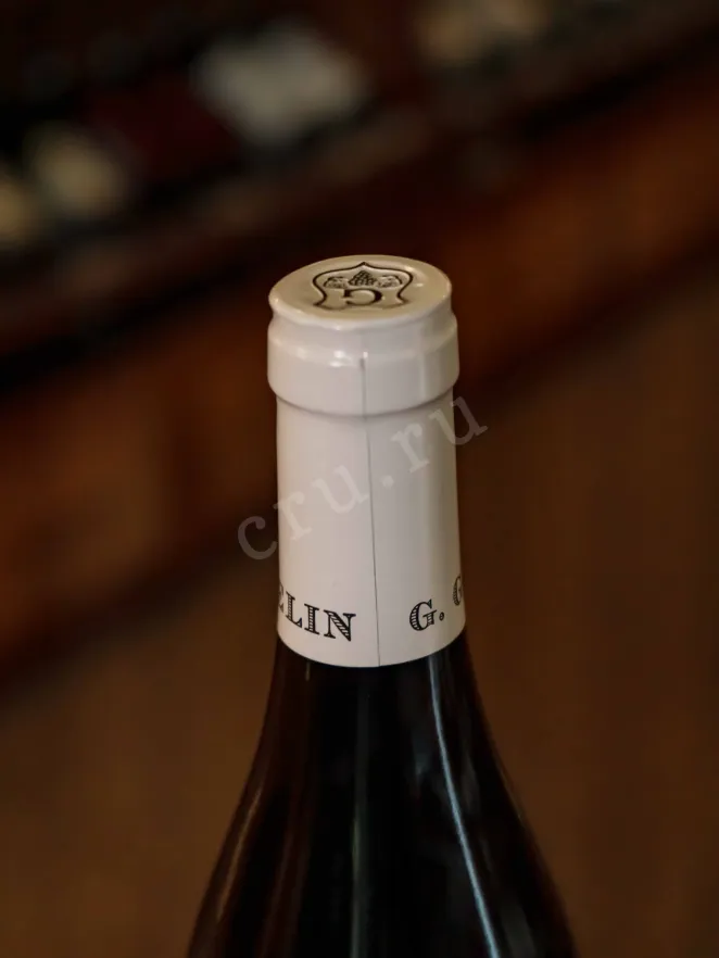 Пробка Gilles Gelin Bourgogne Pinot Noir 2022 0.75 л