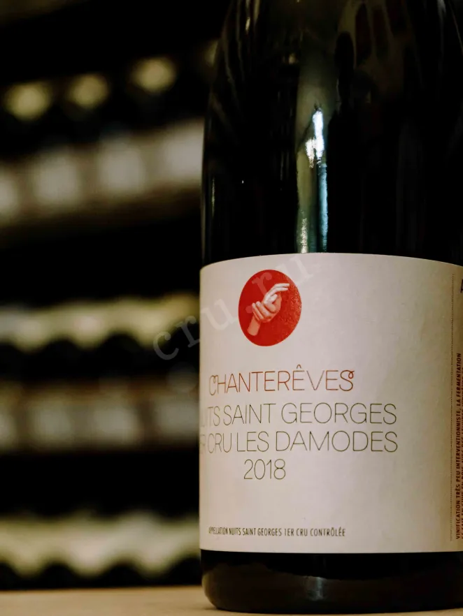 В магазине Крю Профи Chantereves Nuits-Saint-Georges Premier Cru Les Damodes 2018 0.75 л