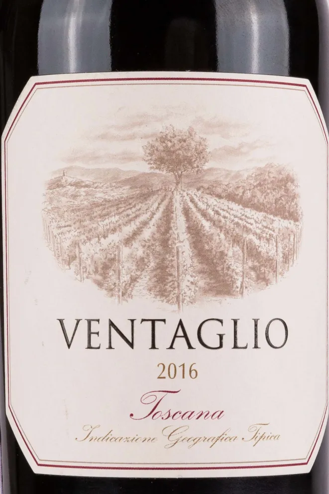 Этикетка Argentiera Ventaglio 2016 0.75 л