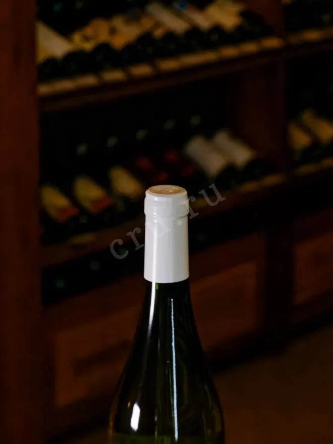 Пробка Picunche Moscatel Valle Del Itata 2022 0.75 л