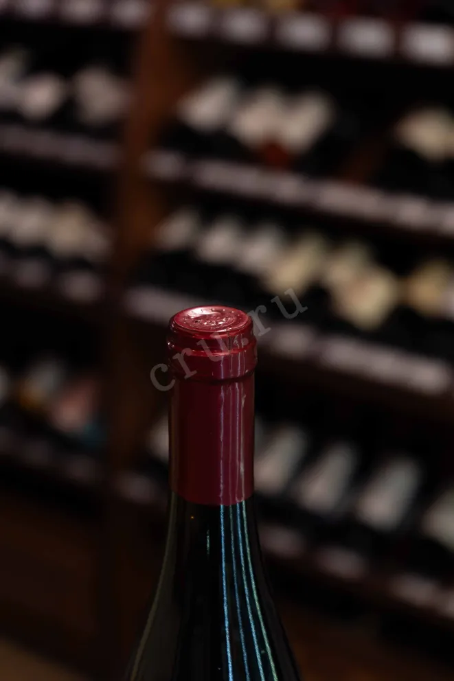 Пробка Picunche Cabernet Sauvignon Valle Central 2023 0.75 л