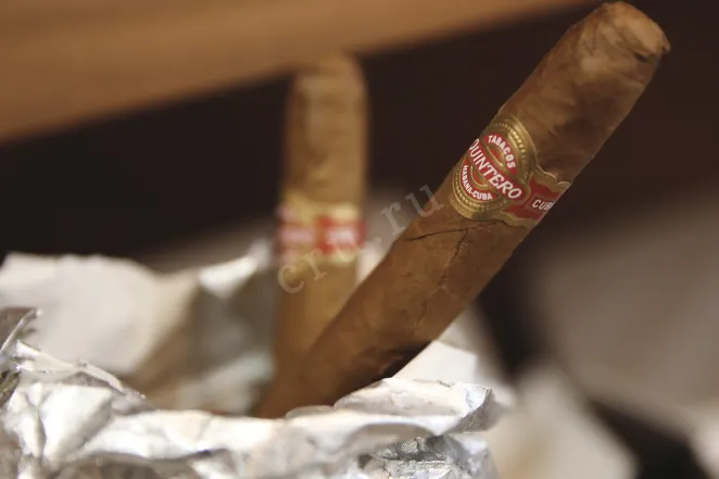 В магазине Крю Профи Quintero Brevas*25