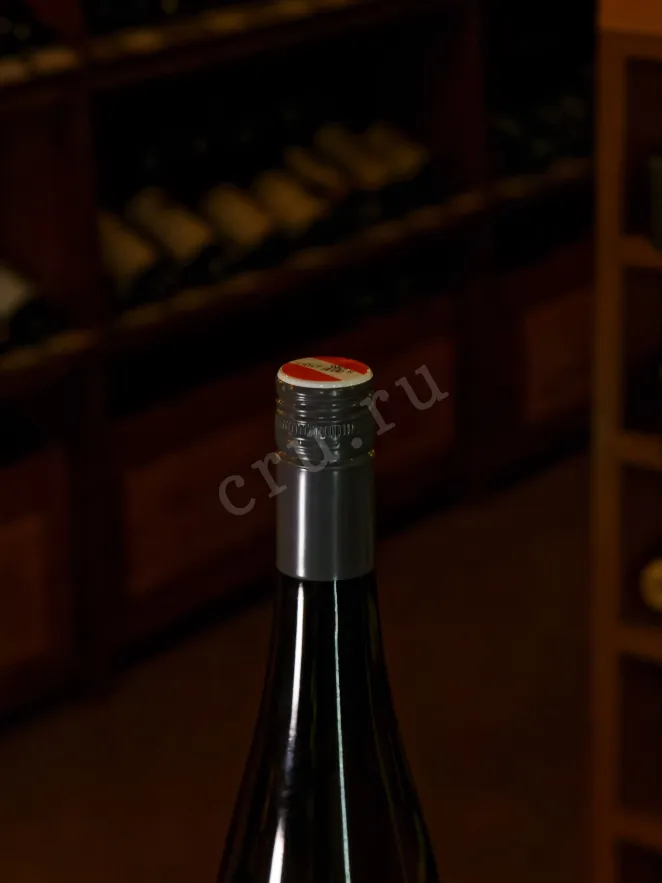 Пробка Wein Klang Gruner Veltliner 2024 0.75 л