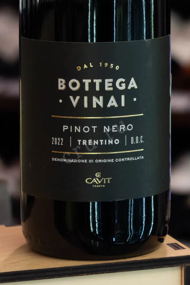 В магазине Крю Профи Bottega Vinai Pinot Nero 2022 0.75 л