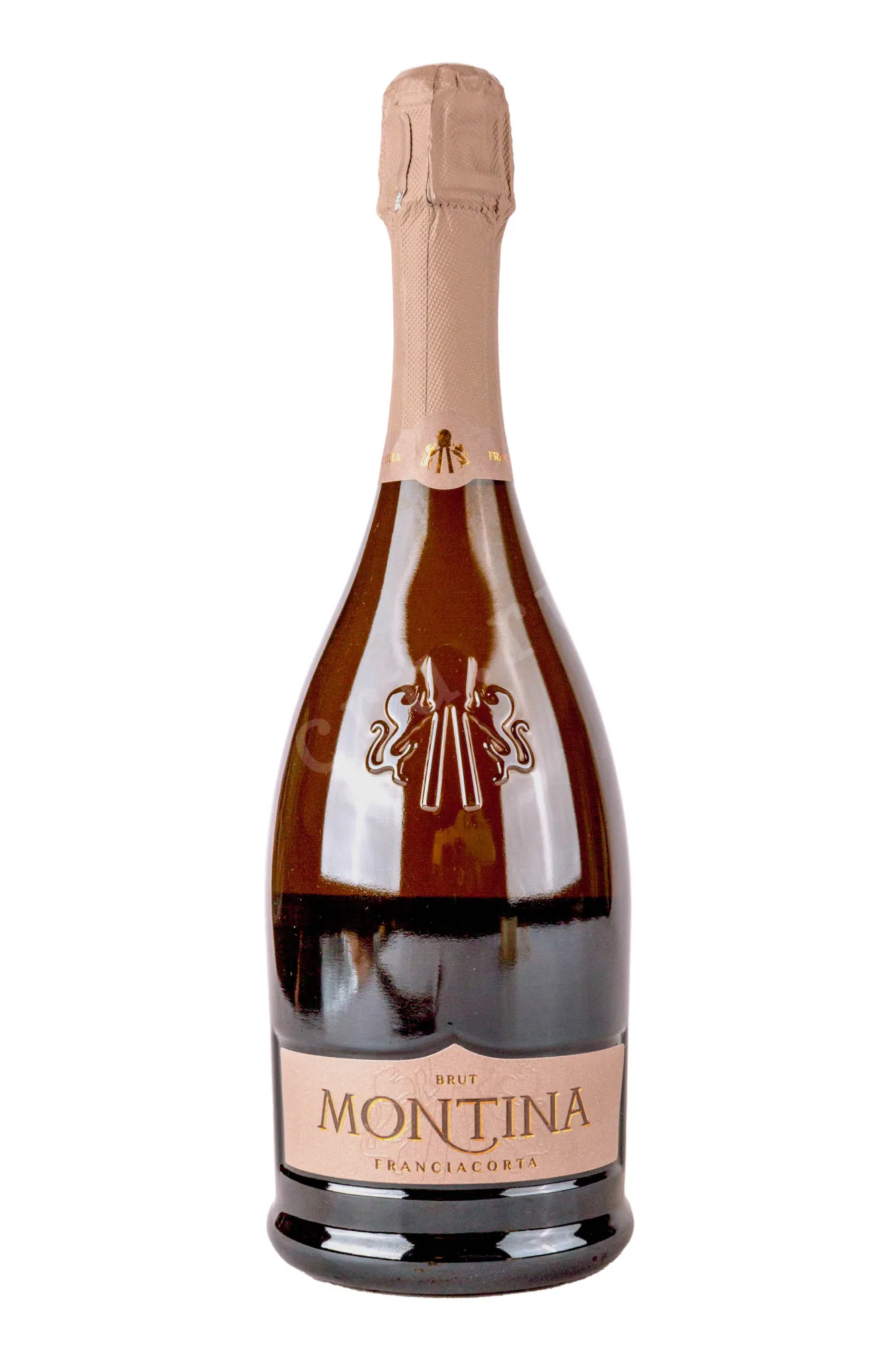 Фото — Игристое вино Montina, Franciacorta Brut 2023 0.75 л