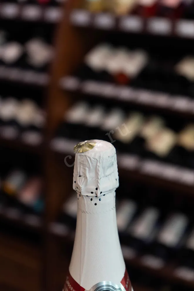 Пробка Anna de Codorniu Blanc De Blancs Brut Reserva 2022 0.75 л