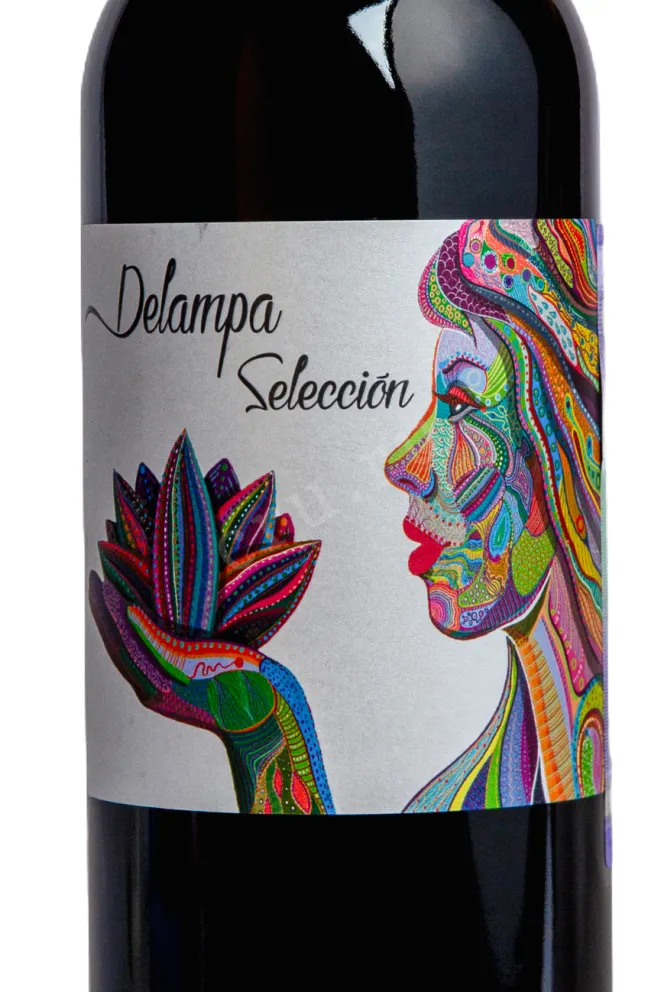 Этикетка Delampa Seleccion 2023 0.75 л