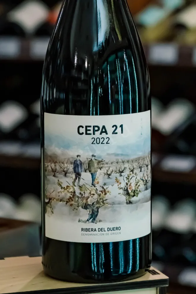 В магазине Крю Профи Cepa 21 Ribera Del Duero 2022 0.75 л