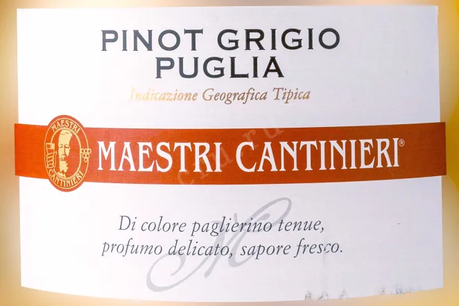 Этикетка Pinot Grigio Trade Mark Maestri Cantinieri Puglia 2023 5 л