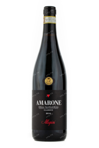 Вино Allegrini Amarone della Valpolicella Classico 2017 0.75 л