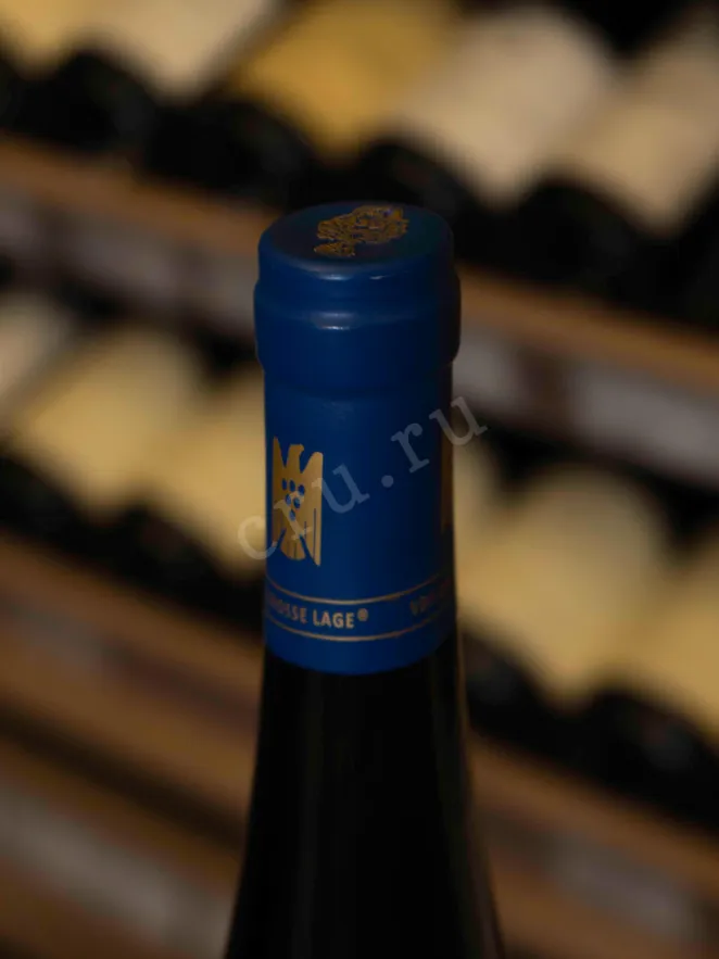 Пробка Julg Schweigener Sonnenberg Riesling GG 2022 0.75 л