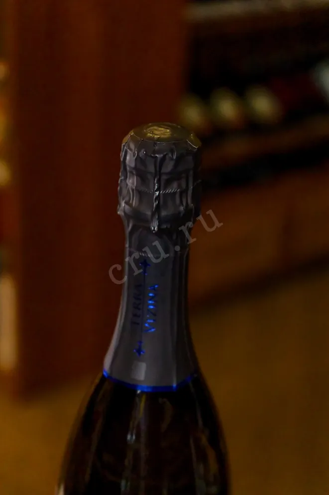 Пробка Prosecco Millesimato Terra Vizina in gift box 2024 0.75 л
