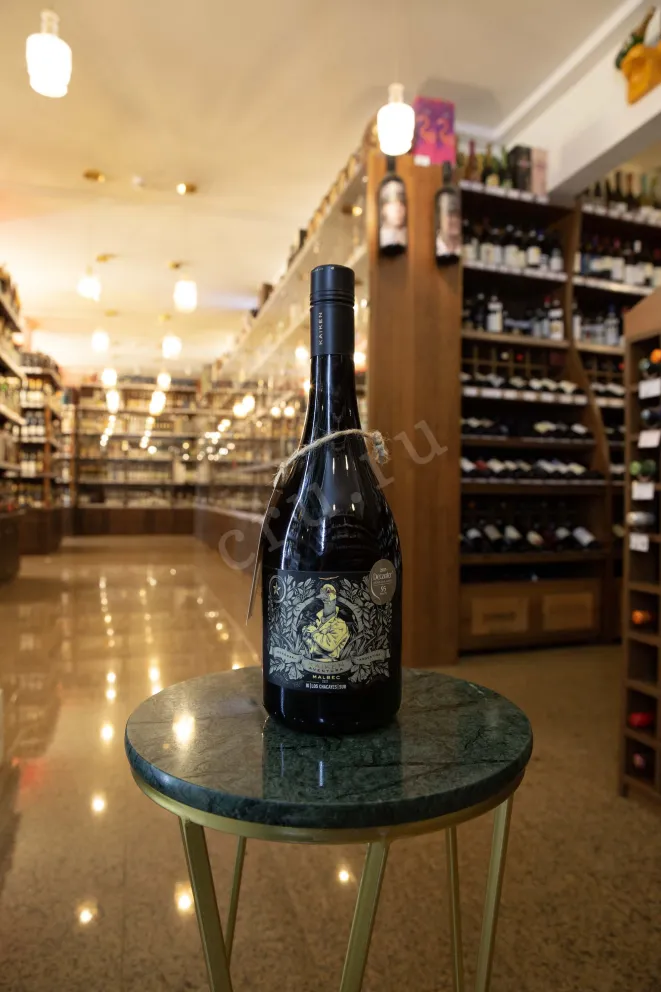 В магазине Крю Профи Kaiken Aventura Malbec Los Chacayes Sur 2021 0.75 л