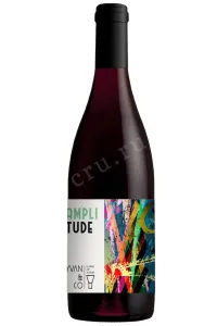 Вино Yvan & Co Amplitude Pays d’Oc IGP 2020 0.75 л