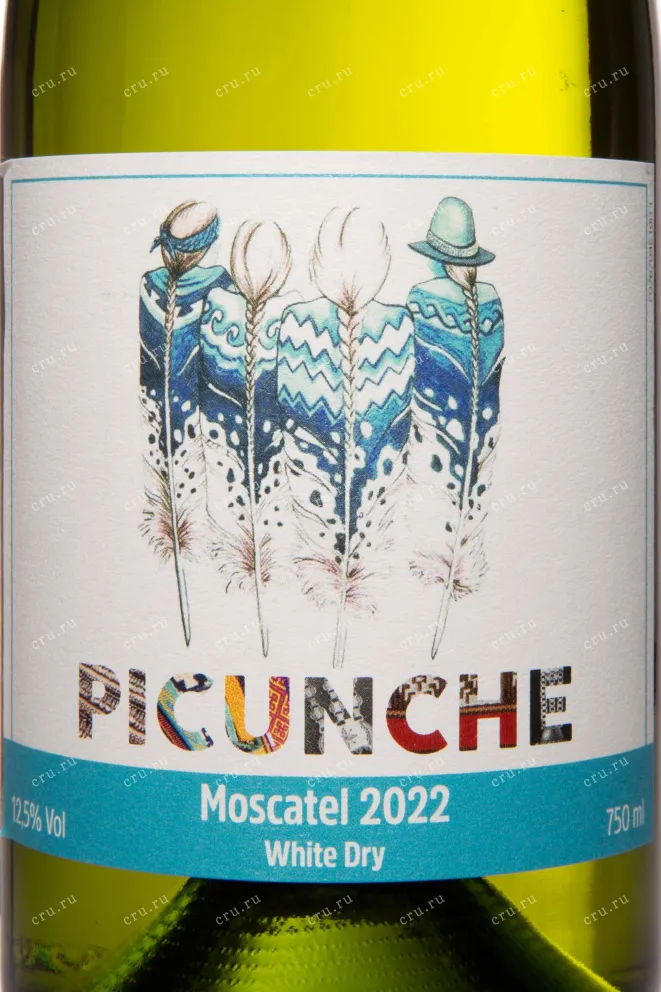 Этикетка Picunche Moscatel Valle Del Itata 2022 0.75 л