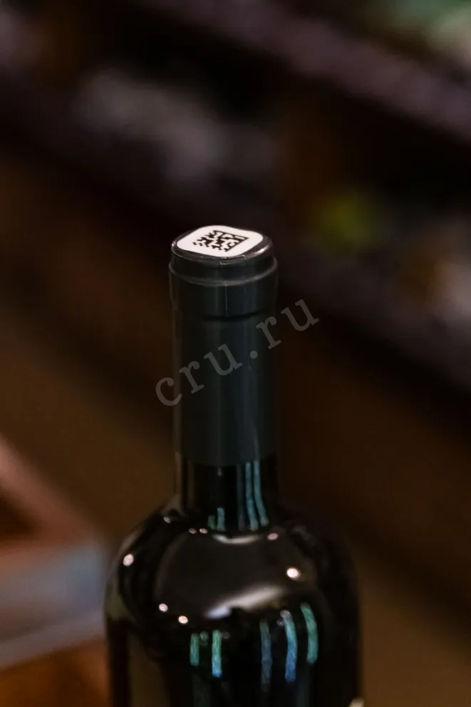 Пробка Chateau De Talu French Lessons Syrah 2022 0.75 л