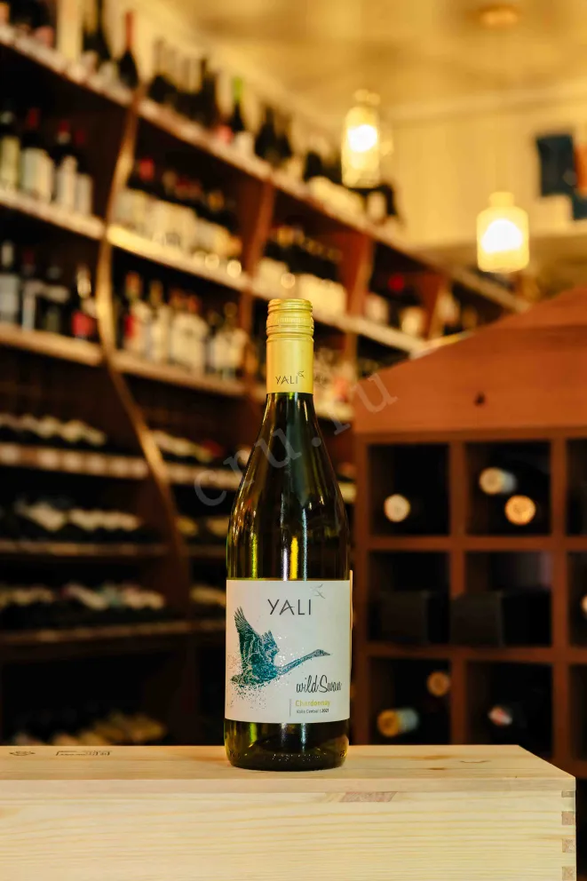 В магазине Крю Профи Yali Wild Swan Chardonnay 2021 0.75 л