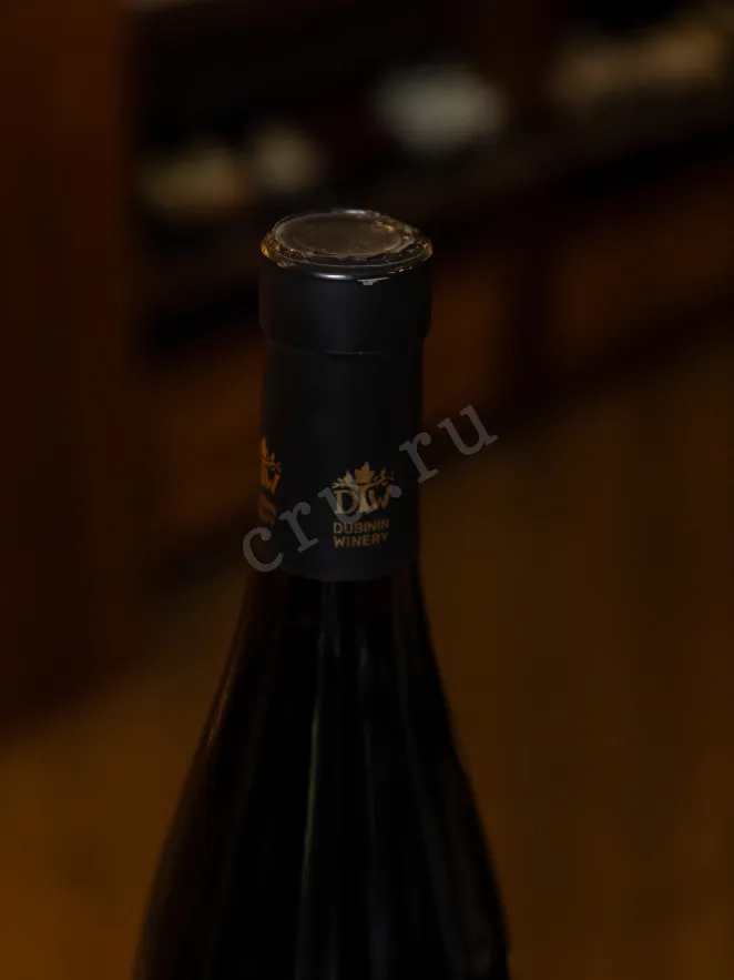 Пробка Dubinin Winery Saperavi Fresh 2022 0.75 л