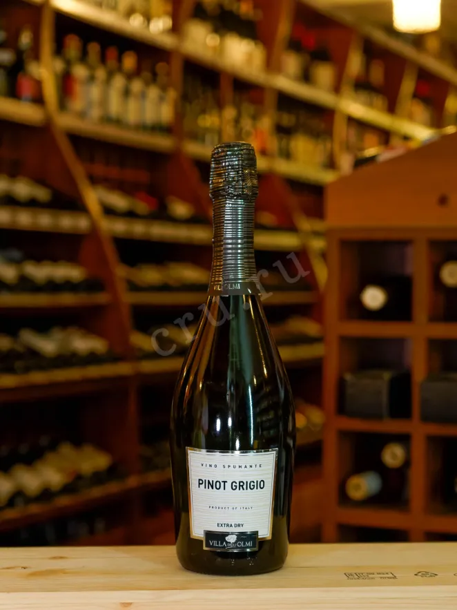 В магазине Крю Профи Villa degli Olmi Pinot Grigio Spumante Extra Dry 2023 0.75 л