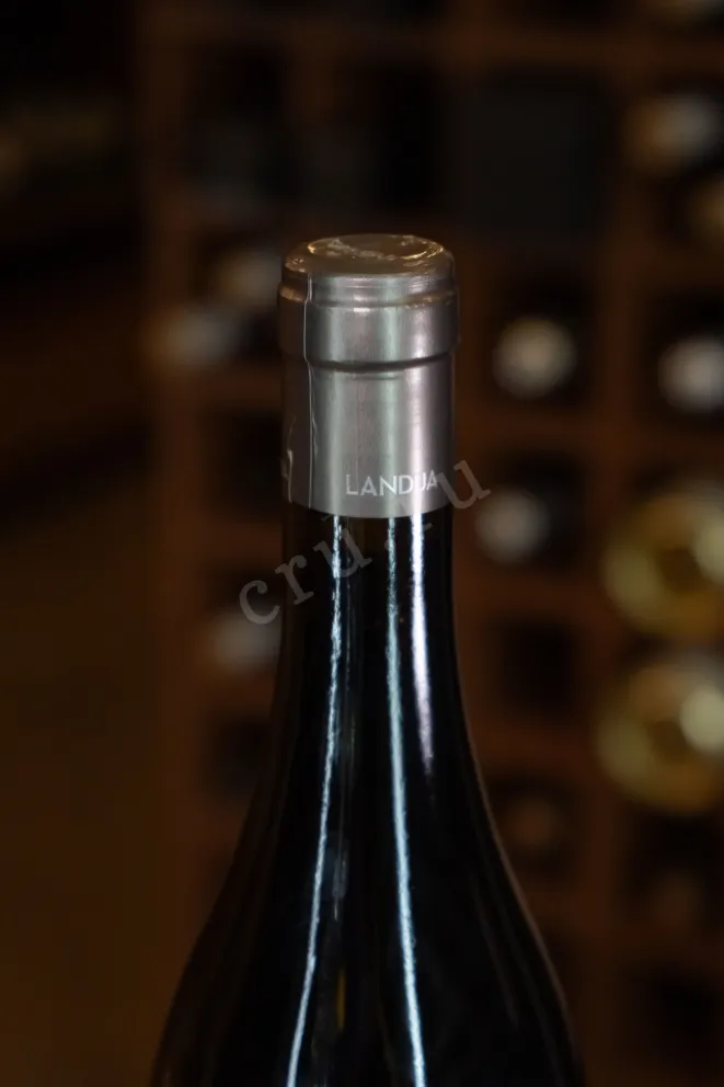 Пробка Aiurri Landua Rioja DOCa 2022 0.75 л