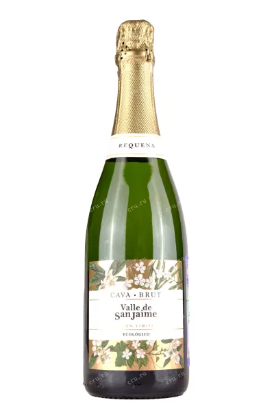 Игристое вино Cava Valle de San Jaime Ecologico 2021 0.75 л