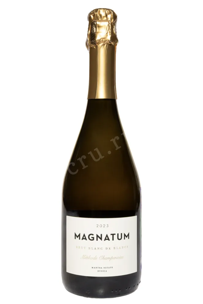 Игристое вино Магнатум Метод Шампанизации Брют Блан де Блан 2023 0.75 л