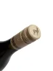 Пробка GreenLife Sauvignon Blanc Maule Valley 2025 0.75 л