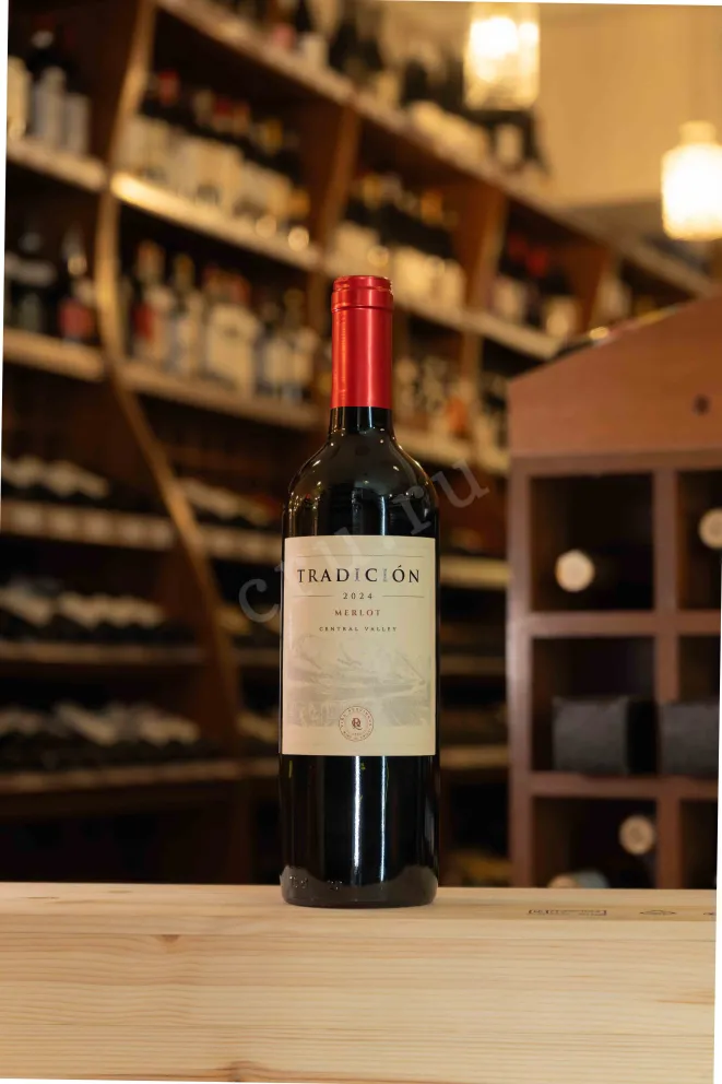 В магазине Крю Профи Tradicion Merlot 2024 0.75 л