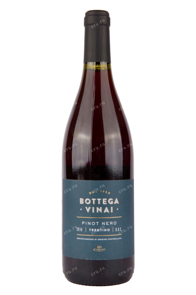 Вино Bottega Vinai Pinot Nero 2019 0.75 л
