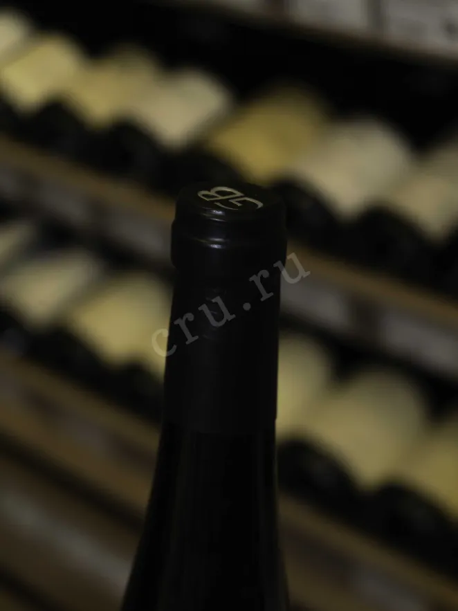Пробка Georg Breuer Berg Rottland Riesling 2021 0.75 л