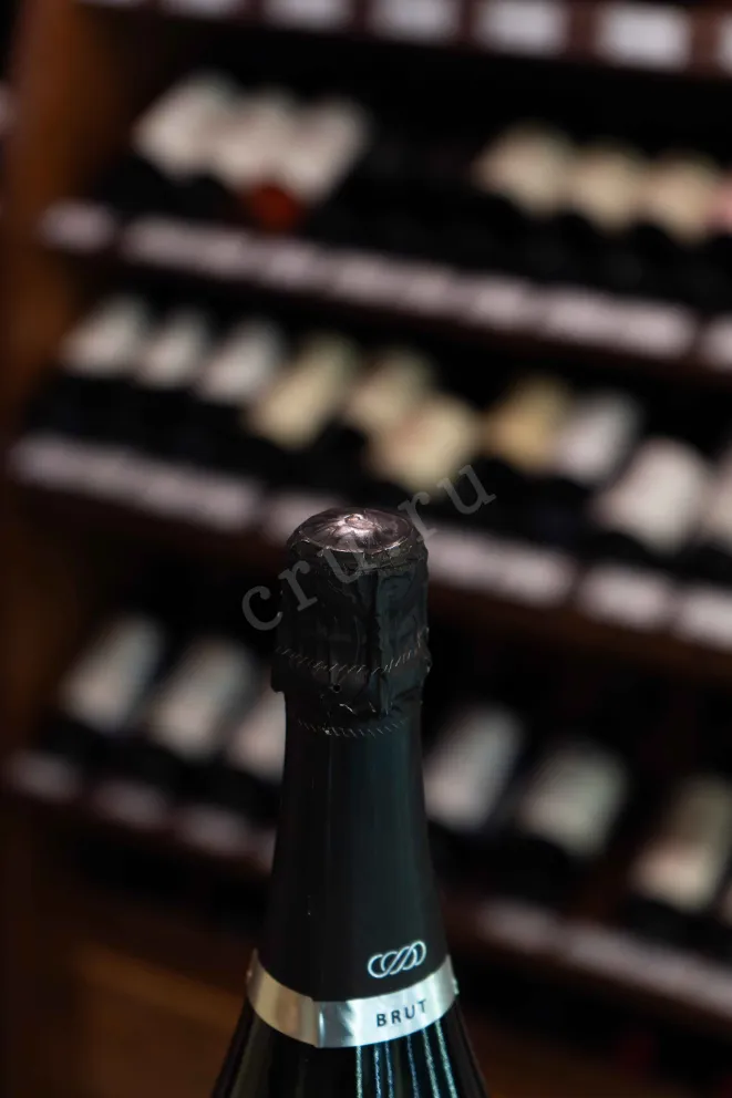 Пробка Vinart Brut Cava DO 2023 0.75 л